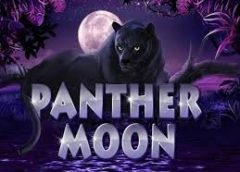 Terokai Keindahan Malam dengan Panther Moon di Mega888